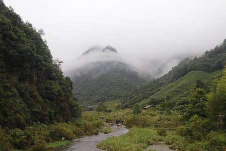 图片包含 户外, 自然, 山, 草描述已自动生成